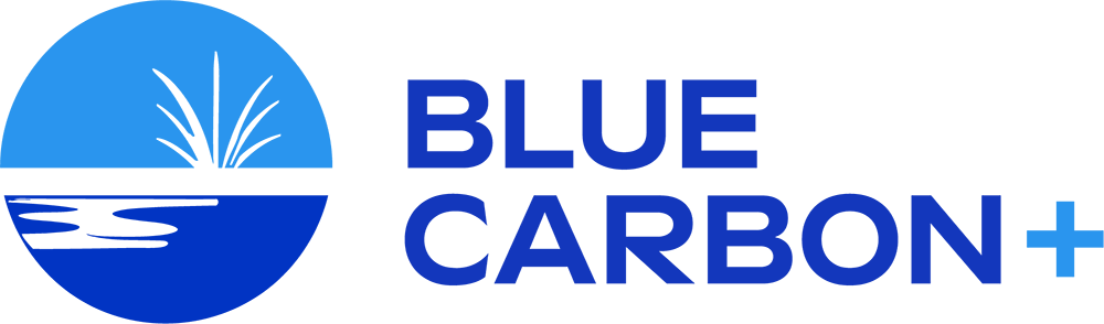 BC+ Logo