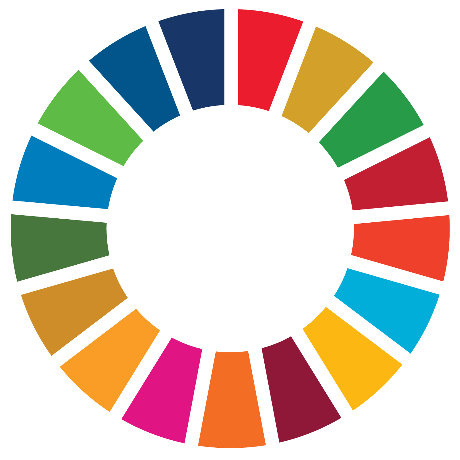 SDG Wheel_PRINT_Transparent