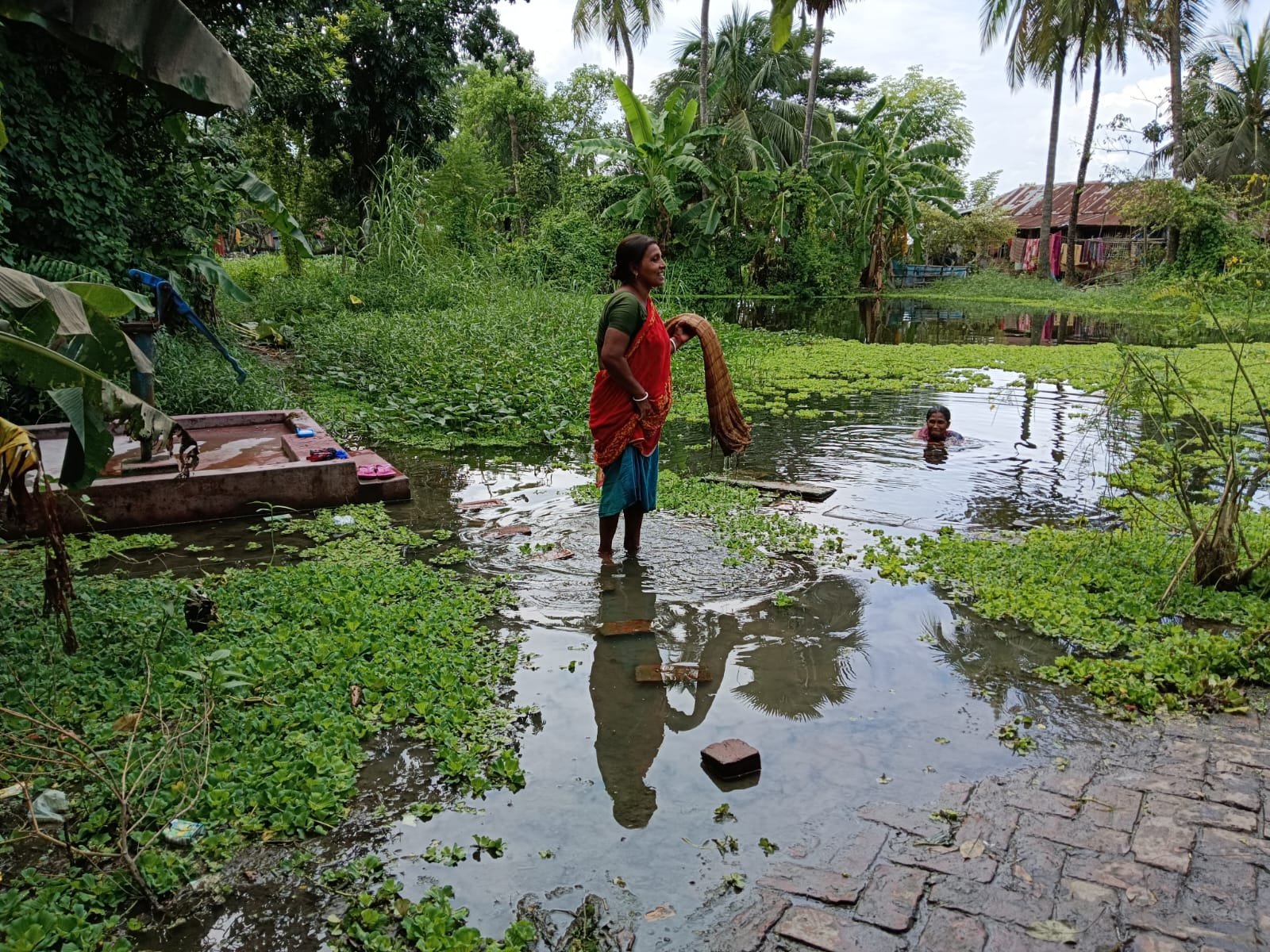 Cover image: Report on Waterlogging in Monirampur, Jashore